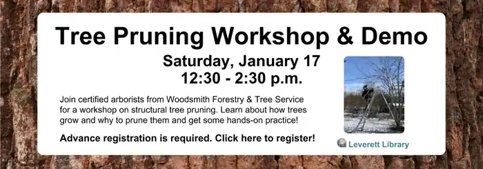 tree pruning workshop in Leverett