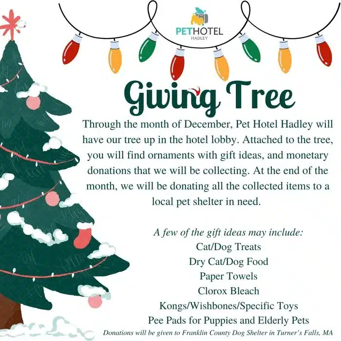 Giving Tree in Pet Hotel Hadley