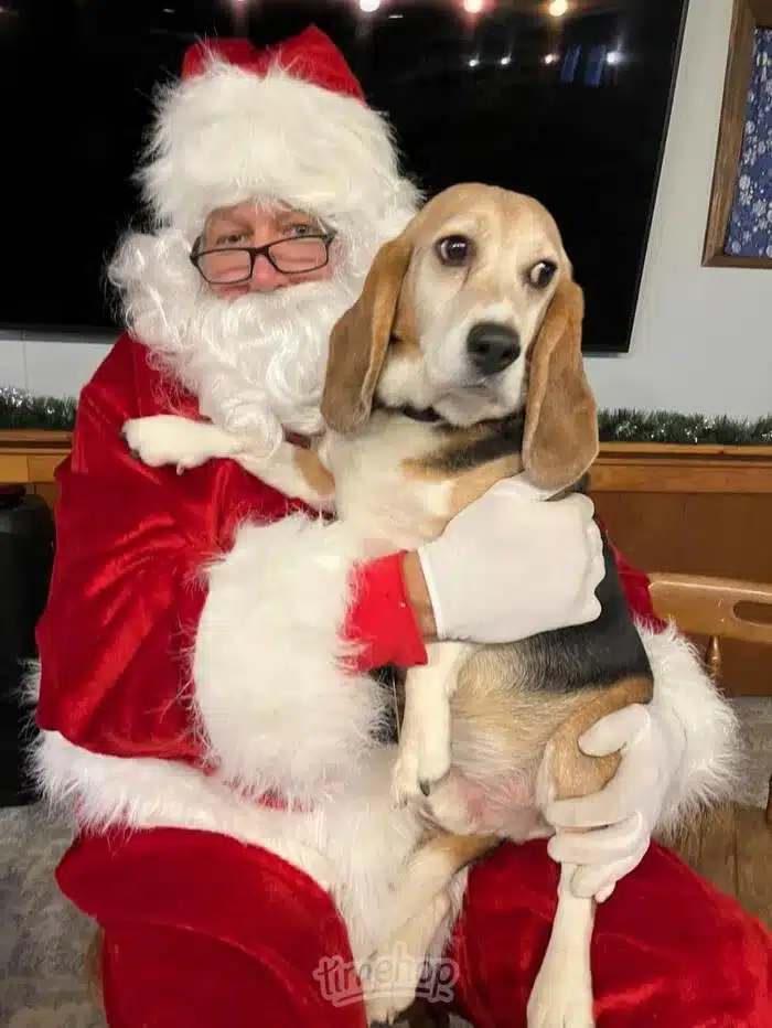 Shutesbury Athletic Club Santa visit 2025