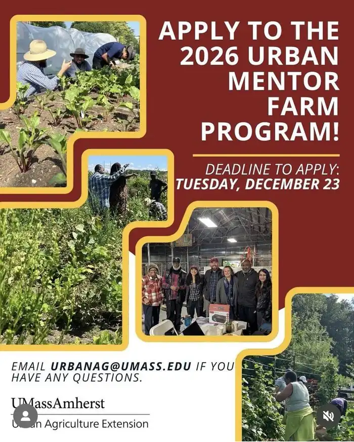 Urban Mentor Farm program Massachusetts