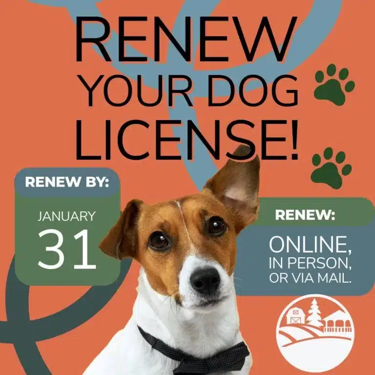 Belchertown dog license renewal