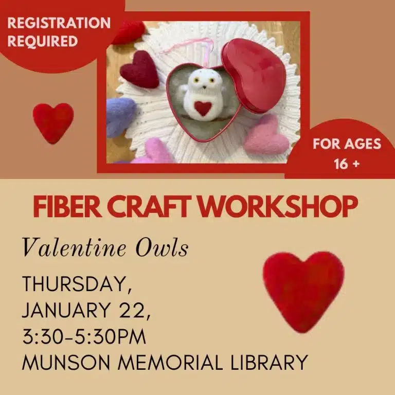 Fiber Craft Workshop Valentine Owls Munson Memorial Library