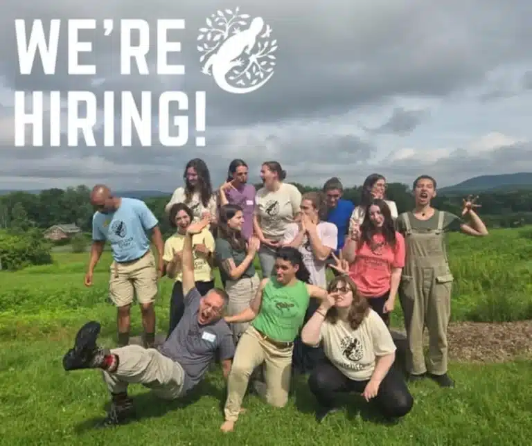 Hitchcock Center summer camp counselor jobs 2026