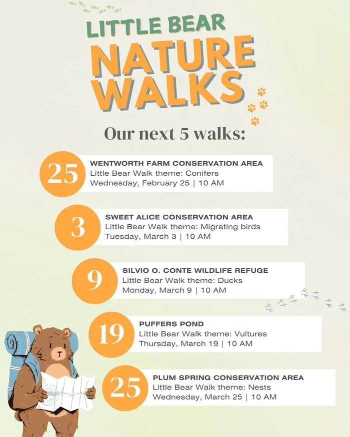 Little Bear Nature Walks Amherst Feb Mar 2026