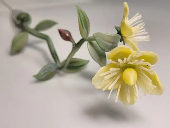 Sally Prasch Fragile Connections exhibition