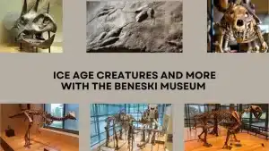 Beneski Museum WinterFest