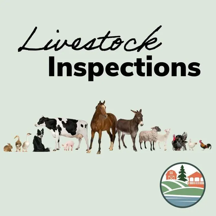 Belchertown livestock inspection 2026