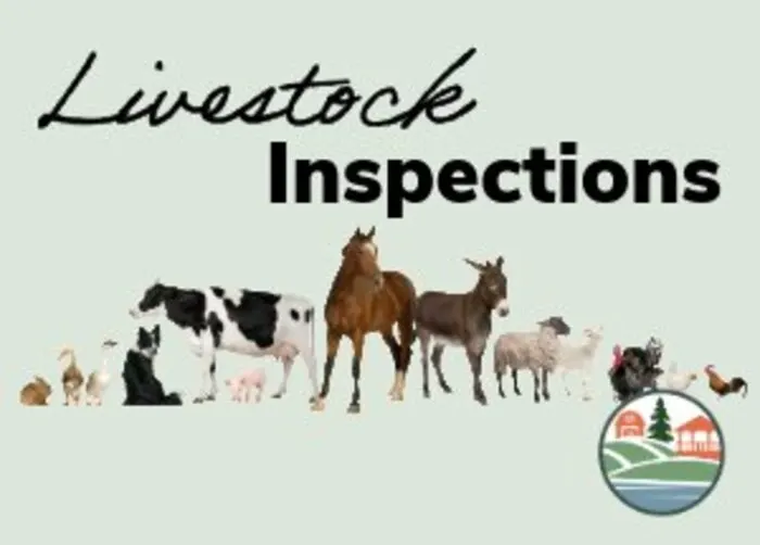 Belchertown livestock inspection 2025