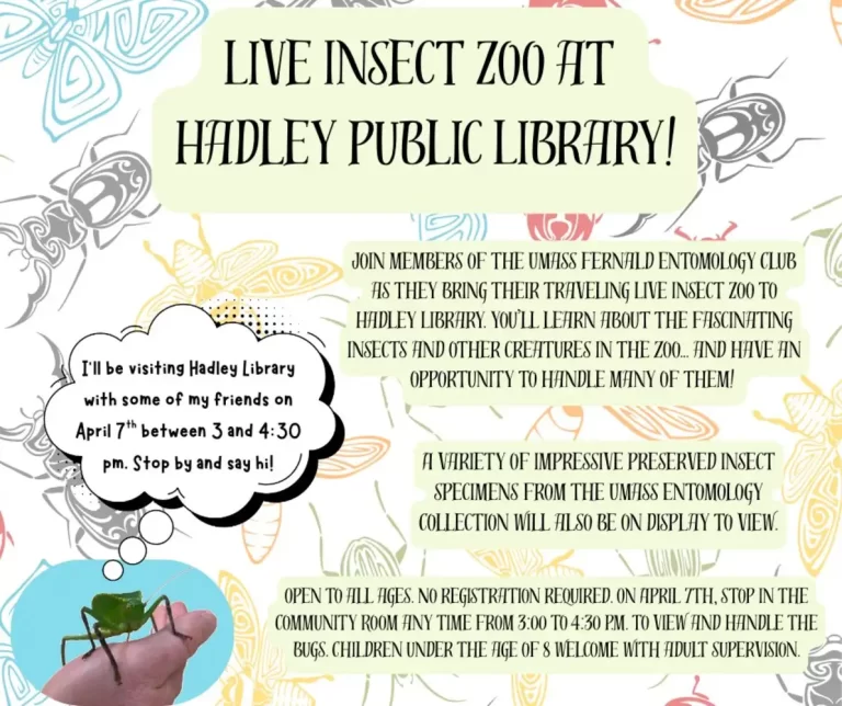 Live Insect Zoo Hadley Public Library April 2026