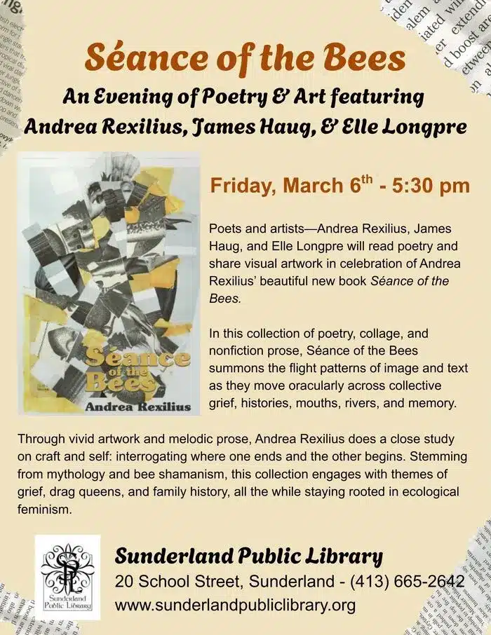 Séance of the Bees event Sunderland