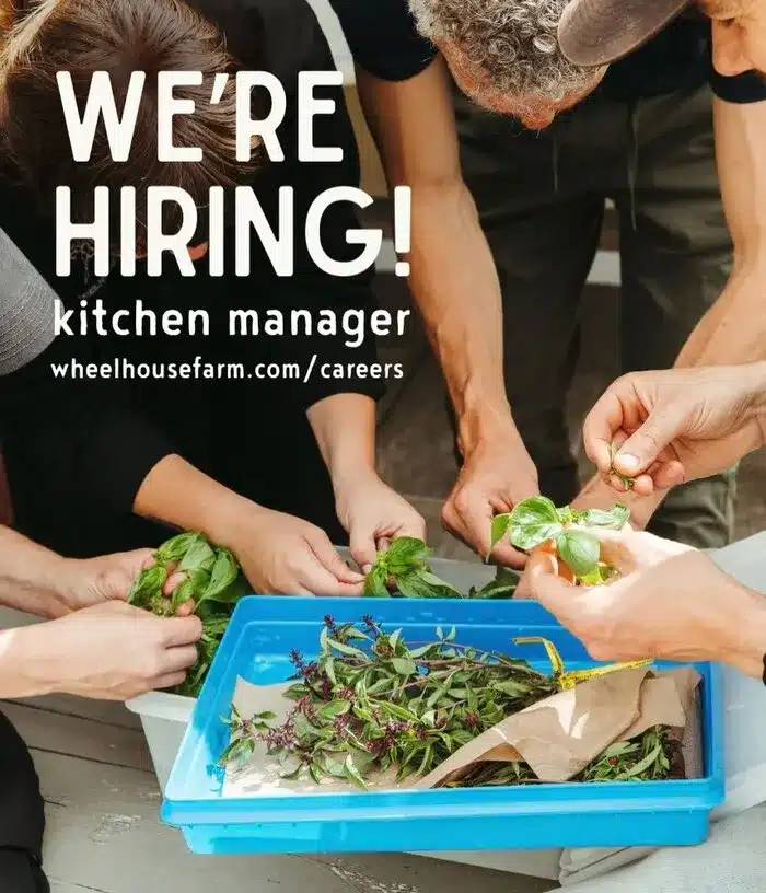 Wheelhouse kitchen manager job March 2026