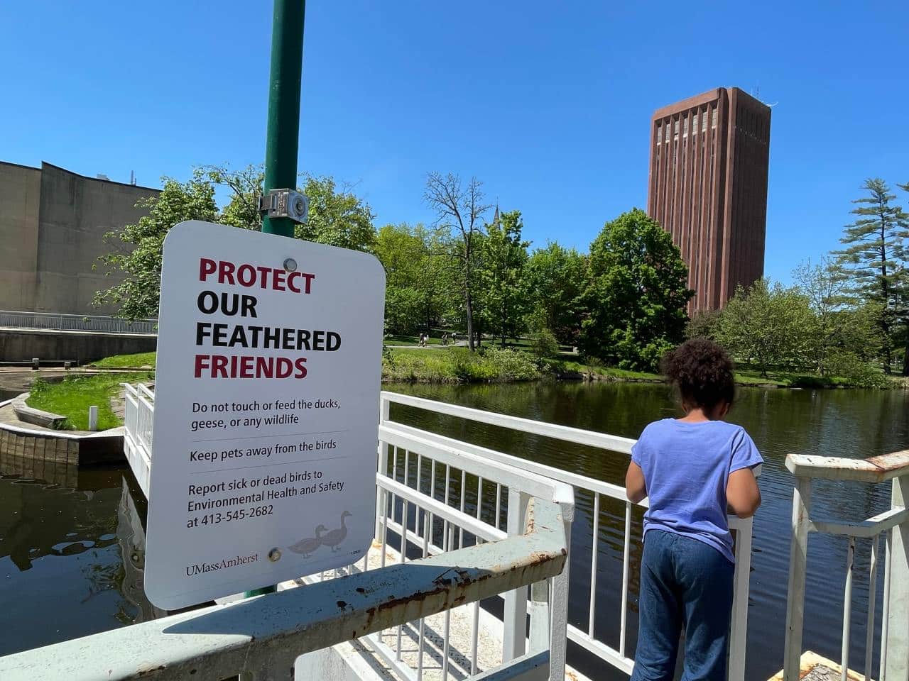 A sign next to Campus Pond at UMass Amherst reads: Protect Our Feathered Friends. FungaiFoto.