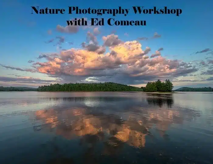 nature photography workshop in Pelham