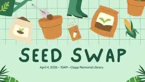 seed swap in Belchertown