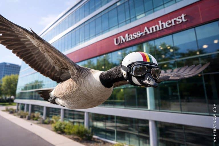 A graphic of a Canadian Goose with a helmet Zooming past a UMass building.