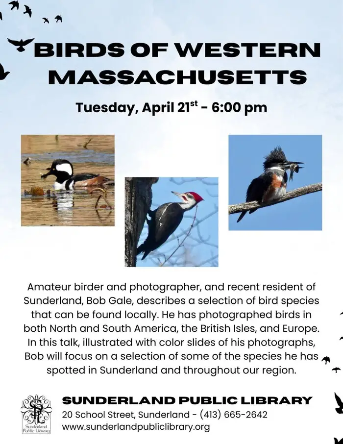 birds of Western Mass talk