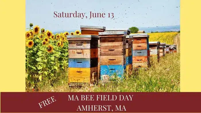 beekeepers field day Amherst