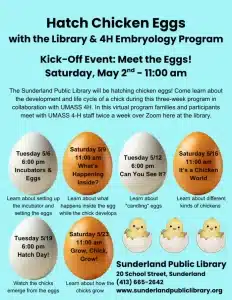 chick hatching program Sunderland