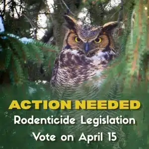 rodenticide phase-out amendment