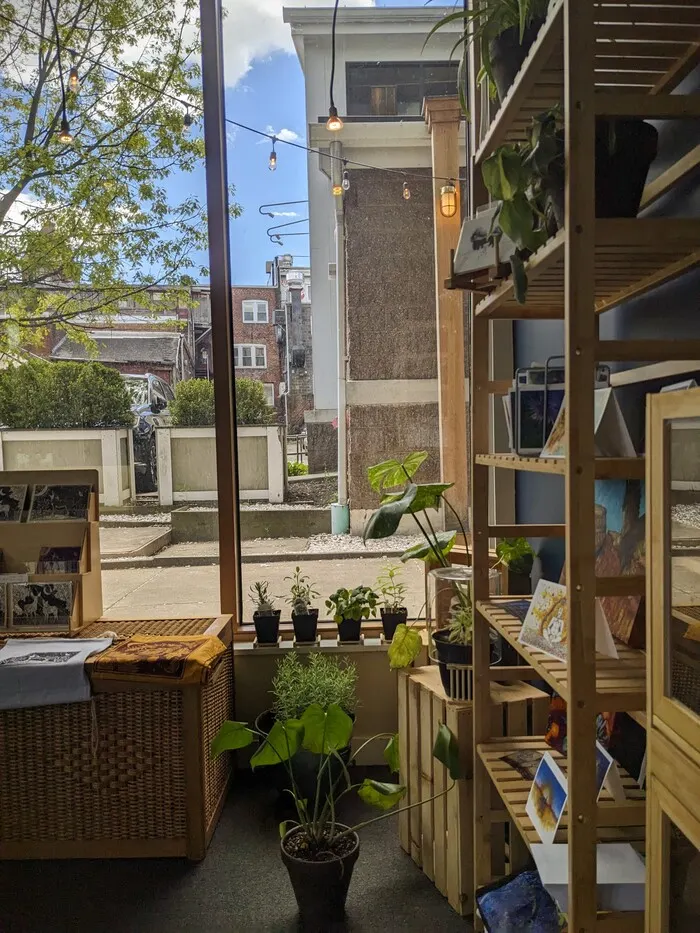 The Hive Collective Grand Opening in Downtown Amherst