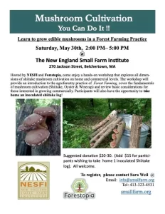 Mushroom Cultivation Workshop at NESFI