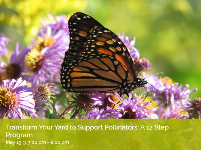 pollinator garden talk Clapp Belchertown