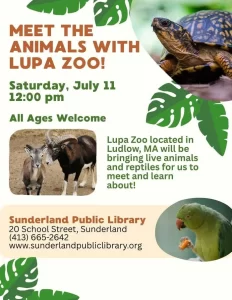 Meet the Animals with Lupa Zoo at Sunderland Library