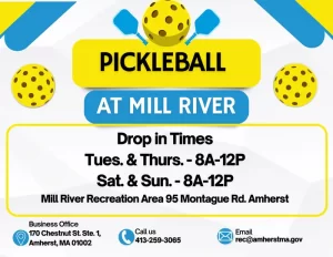 Open-Play Pickleball at Mill River Recreation Area – Free, Drop-In