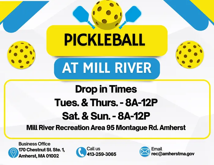 Open-Play Pickleball at Mill River Recreation Area – Free, Drop-In