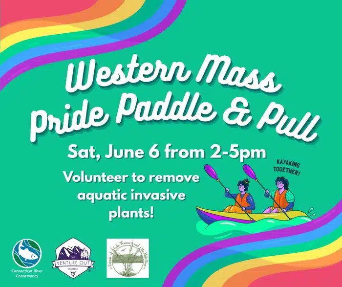 Pride Paddle & Pull: Invasive Water Chestnut Removal on Lake Warner