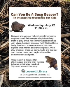 Can You Be A Busy Beaver? Interactive Workshop at Leverett Library