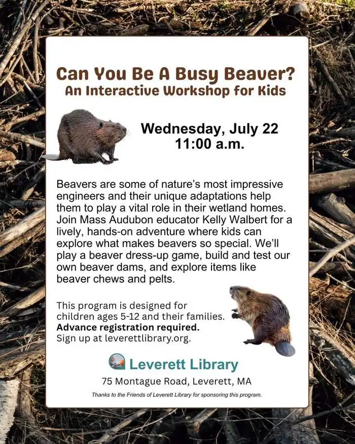 Can You Be A Busy Beaver? Interactive Workshop at Leverett Library