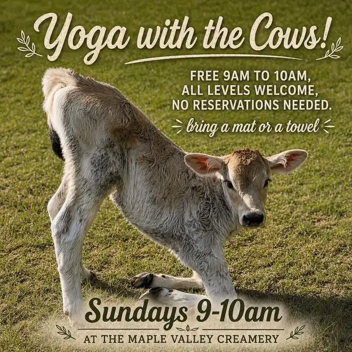 Free Yoga at Maple Valley Creamery – Sundays