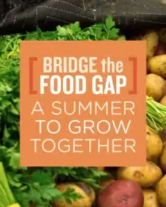 Donate Today – Food Bank of Western MA