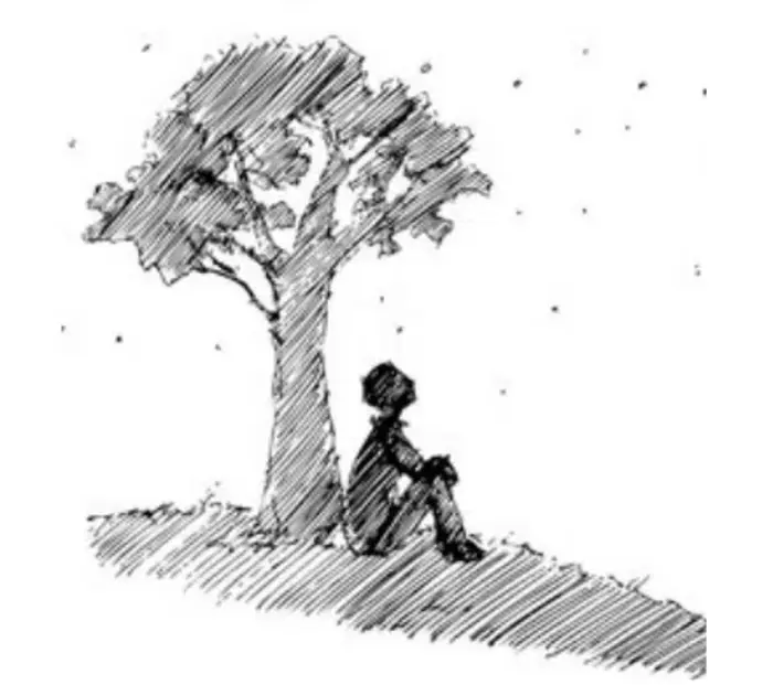 Mountain Mindfulness Walking Series – Free Guided Hikes