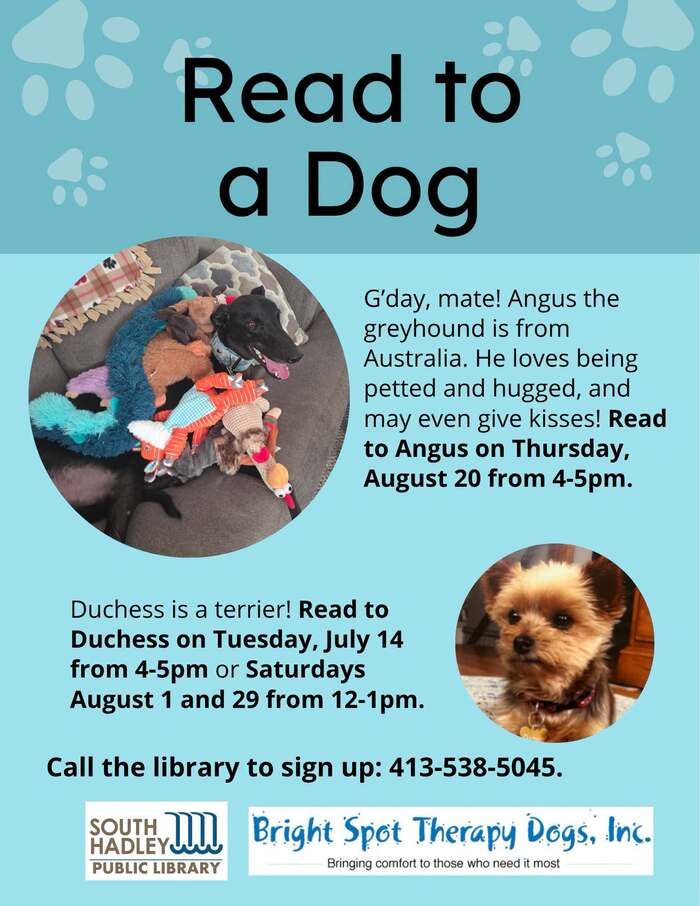 Therapy Dog Reading – South Hadley Library
