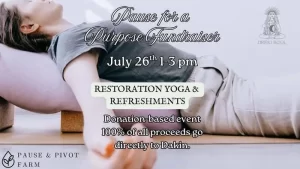 Restorative Yoga Fundraiser for Dakin Humane Society