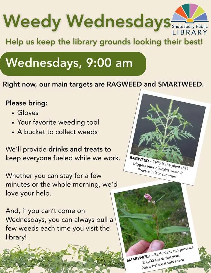 Help Weed Library Grounds at Shutesbury Library