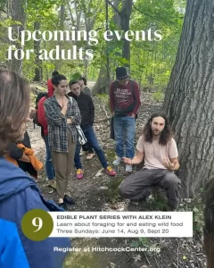 Foraging Walks with Alex Klein – Aug & Sept 2026