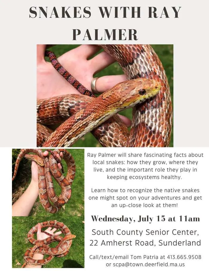 Live Snake Program in Sunderland