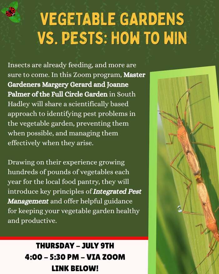 Vegetable Gardens vs. Pests: How to Win – Zoom Workshop